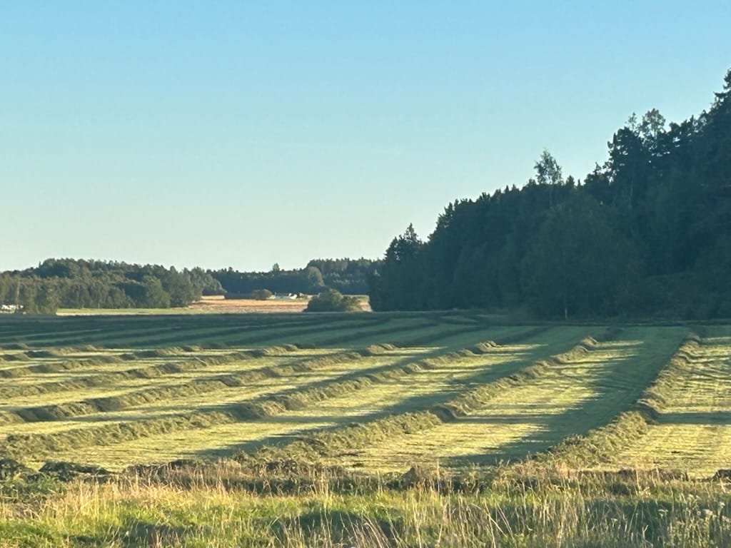 Noggrant komponerade vallar
